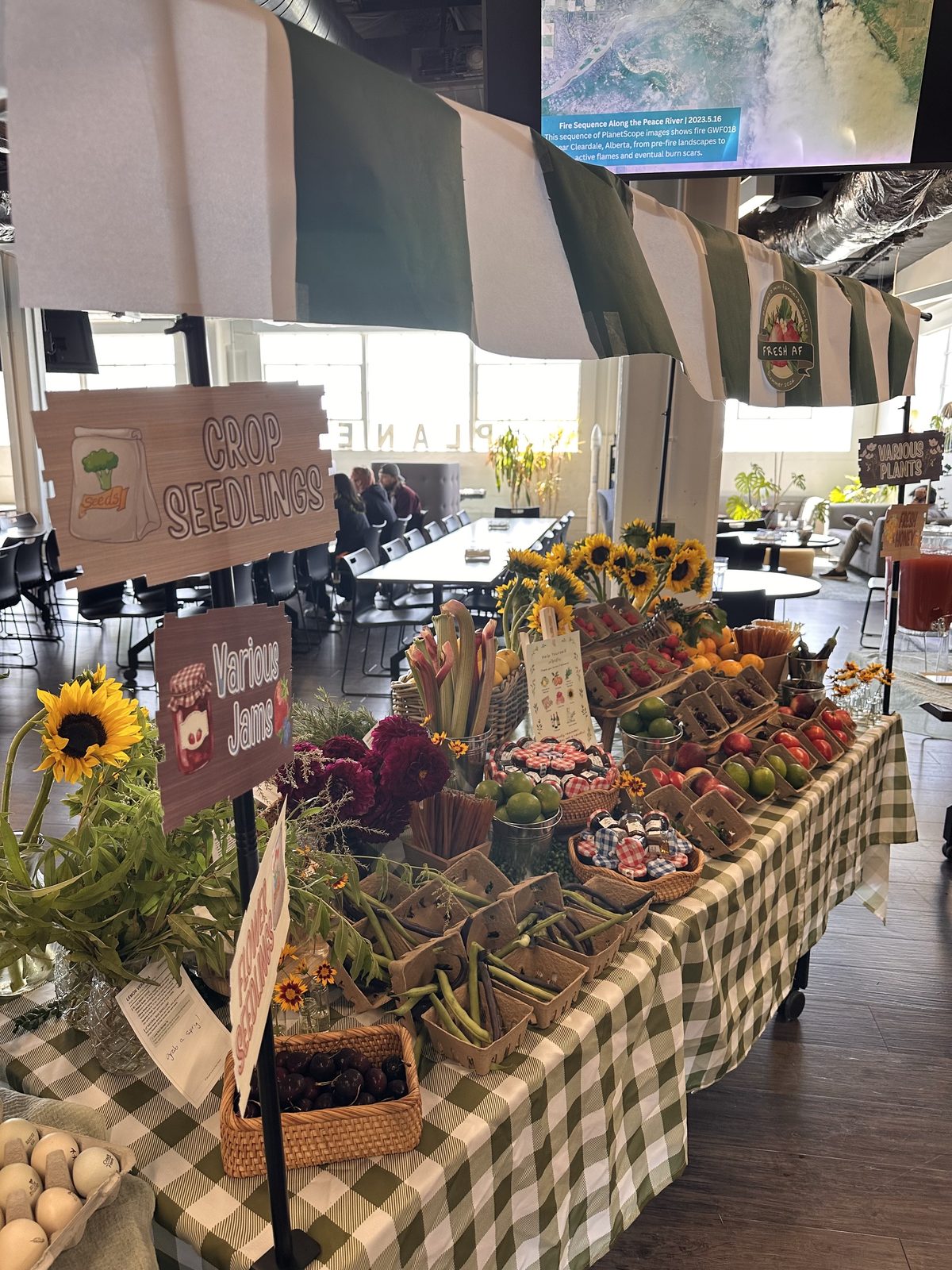 Crop Seedlings and Various Jams signage